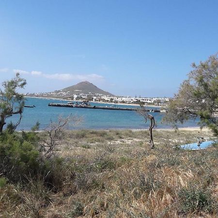 chez irene sweet pension Naxos City Buitenkant foto