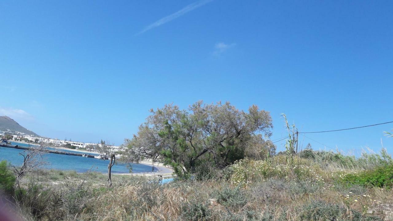 chez irene sweet pension Naxos City Buitenkant foto